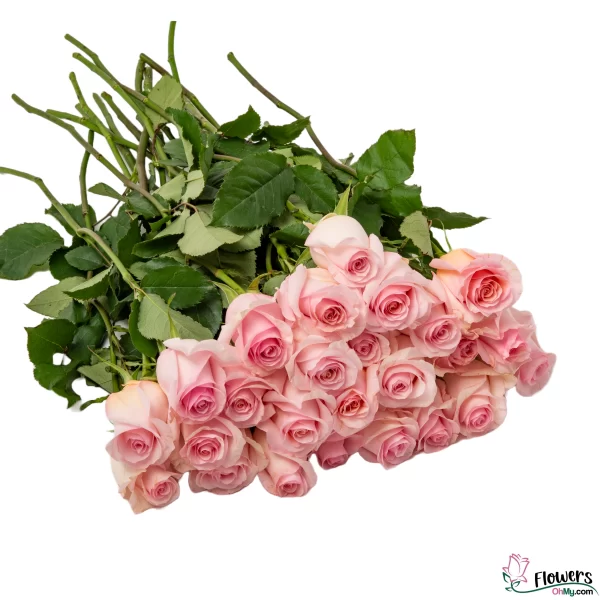 25 pink stems