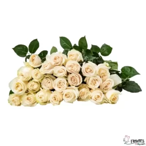 25 CHIC WHITE ROSES