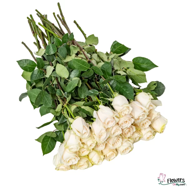 25 CHIC WHITE ROSES