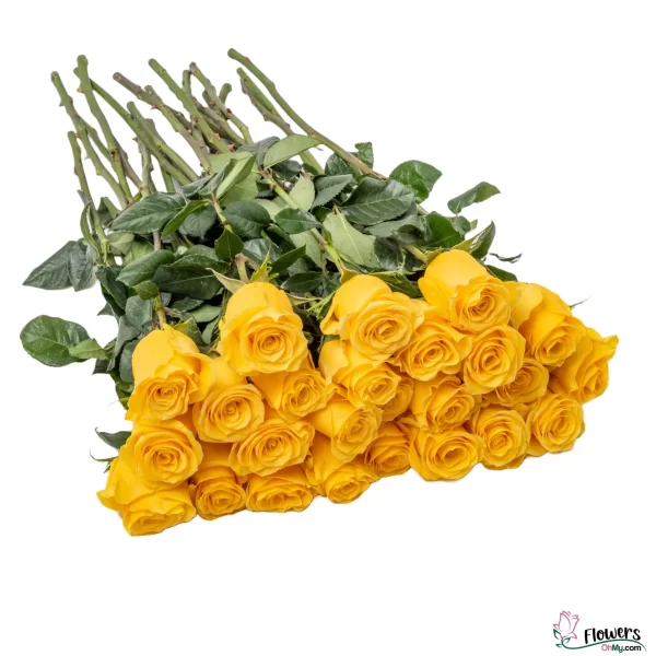 25 yellow stems